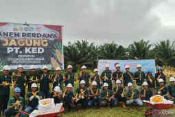 Polres Kutim bersama PT AAL panen jagung program ketahanan pangan