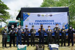 Bea Cukai Teluk Nibung  musnahkan 9,3 ton mangga ilegal asal Thailand