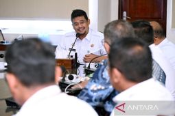 Bobby intervensi penanganan hama lalat buah secara masif jeruk di Karo