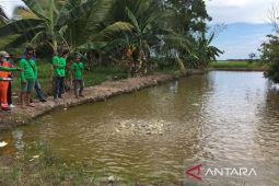 Kabupaten Penajam  bantu ratusan ribu bibit ikan tingkatkan produksi