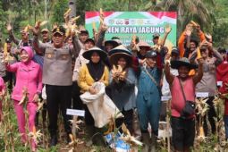 Polres Tasikmalaya panen raya jagung dukung swasembada pangan