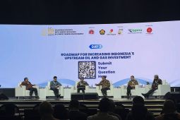 ESDM sebut Pertamina cari mitra untuk garap 500 "idle well"