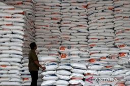 Mentan Amran: Jepang krisis, Indonesia kokoh dengan produksi beras