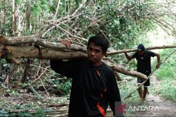 Pemkab Konawe Selatan ubah lahan tidur jadi sumber EBT kerakyatan di Sultra