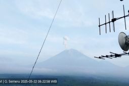 Gunung Semeru kembali erupsi  dengan letusan setinggi 700 meter