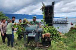 Toba Pulp Lestari pelatihan pengolahan eceng gondok jadi pupuk