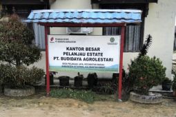 PT SNP dan BAL melalui program TJSL ikut bantu cegah stunting di Marau