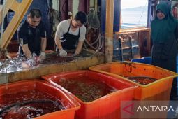 Unpatti: Indeks Kesehatan Laut kunci perikanan dilirik internasional
