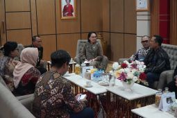 PLN UIP Kalbar paparkan peran interkoneksi listrik Kalimantan saat audiensi dengan Wagub Kalbar