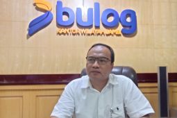 Bulog Jambi pastikan  stok beras aman hingga tujuh bulan ke depan