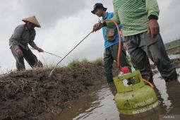 Kemenkes: 8 kasus virus Hanta per 19 Juni sembuh semua