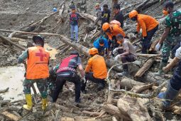 Banjir bandang di Pegunungan Arfak, 16 orang meninggal dunia