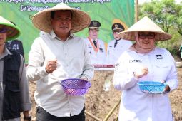 Pemda Tangerang dan Polri gelar gerakan tanam jagung hibrida