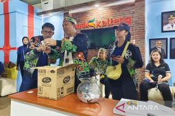 Bank Kalteng manfaatkan Kalteng Expo 2025 optimalkan layanan sekaligus sarana edukasi
