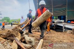 PLTU Holtekamp siap jadi solusi energi bersih berkelanjutan Papua