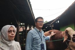 Pemkot: Kebutuhan  hewan kurban di Kota Jambi capai 3.900 ekor