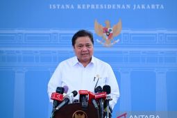 Pemerintah beri diskon tarif listrik 50 persen selama Juni-Juli 2025