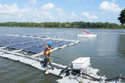 PLN IP perkuat kolaborasi menuju transisi energi berkelanjutan