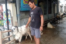 Pemkab Lebak imbau warga beli hewan kurban sudah diperiksa petugas