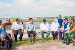 Gubernur Khofifah sebut Jatim kontributor padi tertinggi nasional