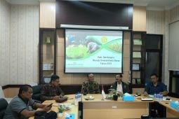 Bupati Sarolangun temui BRMP Jambi bahas soal swasembada pangan