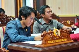 DPRD Kalteng minta optimalkan energi baru terbarukan