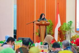 Wagub sebut kesetaraan gender di Sulsel kian nyata