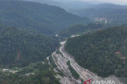 Pekerja hanyut di Sungai Batang Toru bukan bagian dari proyek strategis nasional PLTA