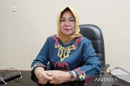 Realisasi PAD Barito Selatan capai 27,16 persen