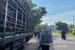 DKPP Pamekasan bentuk tim khusus guna pantau hewan kurban
