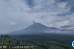 Semeru kembali alami erupsi dengan abu vulkanik ke arah tenggara dan selatan
