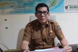 Pemprov Maluku siapkan  17 sapi  kurban bantuan Presiden