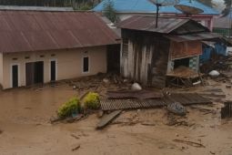 Desa Wombo Kalonggo Donggala terendam banjir