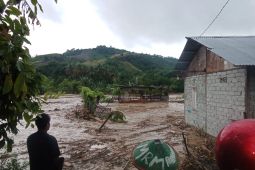100 kk di Wombo Donggala mengungsi akibat banjir