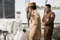 Hasilkan bibit berkualitas, Pemprov Kalteng kembangkan persemaian modern