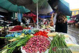 Harga pangan: Cabai rawit Rp46.286/kg, bawang merah Rp37.185/kg