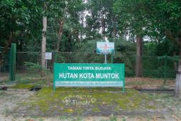 PT Timah jadikan Hutan Kota Mentok kawasan konservasi flora fauna endemik