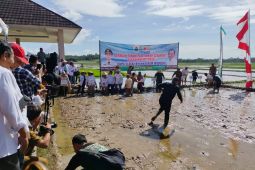 Bupati Lebak lakukan percepatan tanam serentak seluas 80 hektare