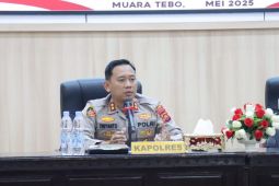 Polisi Tebo ringkus 10 orang pencuri buah sawit