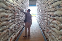 Bulog: Pengadaan beras dalam negeri di Aceh capai 92.457 ton