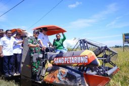 Bupati MYL pimpin panen raya padi di Kelurahan Mangallekana Pangkep