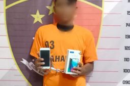 Seorang tersangka pencuri HP diringkus, satu lagi masih buron