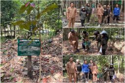 Wujudkan PROPER Hijau, PT SLK galang aksi biodiversitas di Hari Keanekaragaman Hayati
