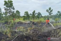 BPBD Kalbar menetapkan status siaga darurat karhutla