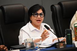 Komisi VII minta menteri ESDM evaluasi izin tambang nikel di Raja Ampat