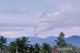 Badan Geologi bicara soal erupsi Gunung Semeru dan Dukono