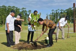 Gibran menanam pohon ulin di IKN, simbol ketangguhan dan harapan