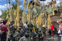 Ratusan warga Desa Adat Tegallalang-Gianyar mengikuti Tradisi Ngerebeg