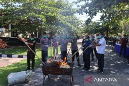 Polres Nagan Raya musnahkan 21 kg ganja kering