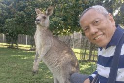 Pakar Kesehatan ingatkan ancaman COVID-19 dari negara tetangga